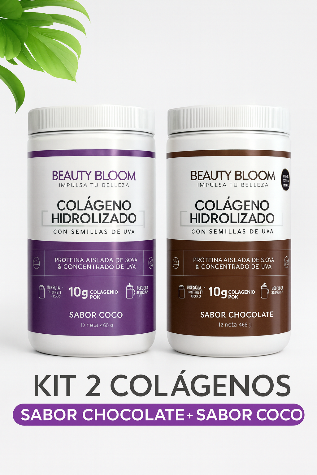 PAGA 1 LLEVA 2: COLÁGENO HIDROLIZADO CON RESVERATROL BEAUTY BLOOM - FRASCO POR 600 GRAMOS